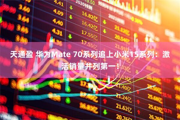 天通盈 华为Mate 70系列追上小米15系列：激活销量并列第一！