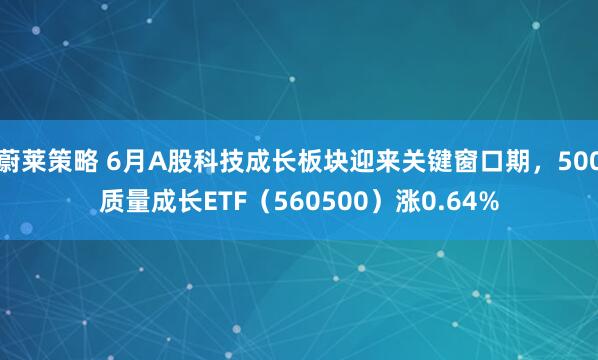 蔚莱策略 6月A股科技成长板块迎来关键窗口期，500质量成长ETF（560500）涨0.64%