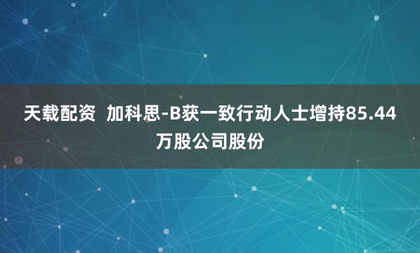 天载配资  加科思-B获一致行动人士增持85.44万股公司股份