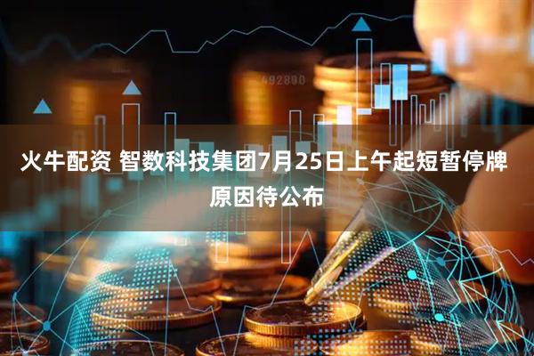 火牛配资 智数科技集团7月25日上午起短暂停牌 原因待公布