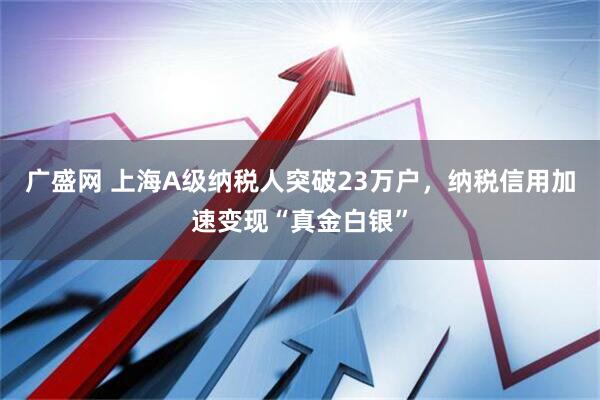 广盛网 上海A级纳税人突破23万户，纳税信用加速变现“真金白银”