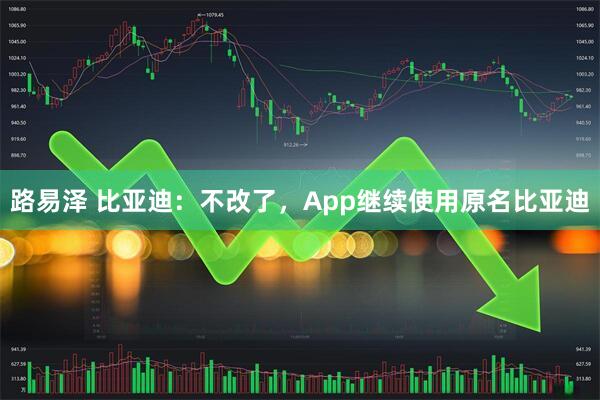 路易泽 比亚迪：不改了，App继续使用原名比亚迪