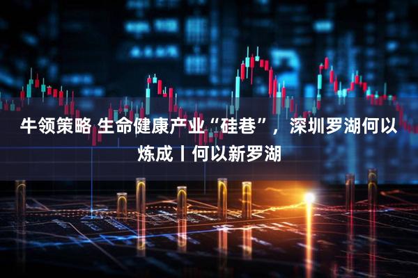 牛领策略 生命健康产业“硅巷”，深圳罗湖何以炼成丨何以新罗湖